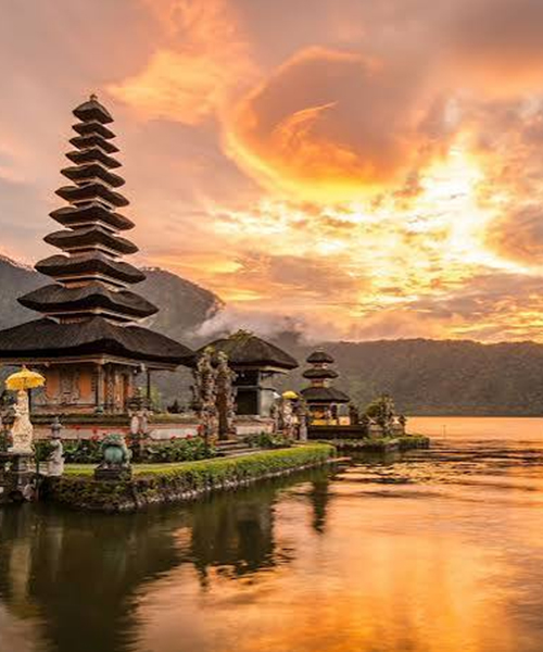 Hotel Booking
